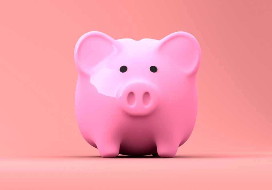 Świnka - skarbonka z tego zdjęcia jest w naszej szkole języków obcych symbolem zakładki, w której znajdują się informacje o cenach za nasze kursy języka angielskiego, niemieckiego, francuskiego, hiszpańskiego, rosyjskiego i polskiego dla obcokrajowców.